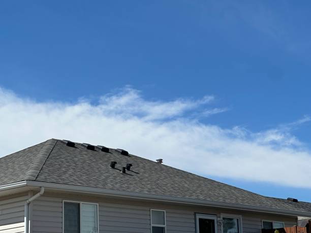 Best Roof Insulation Installation  in Center, CO